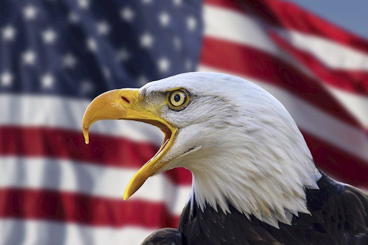美国全国商业经济协会调查:企业认為美国经济处在或正进入衰退的机率出现了回落